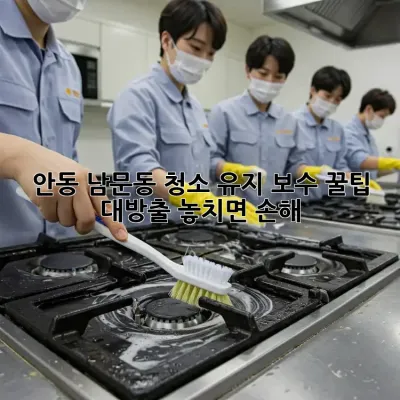 안동 남문동🏡 청소 유지 보수 꿀팁 대방출! 놓치면 손해🤫