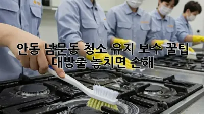 안동 남문동🏡 청소 유지 보수 꿀팁 대방출! 놓치면 손해🤫