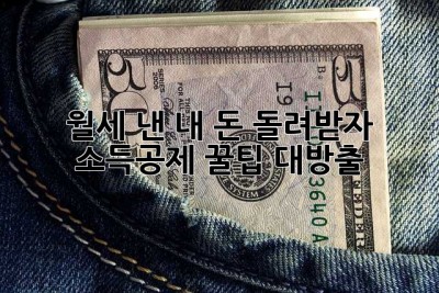 월세 낸 내 돈, 돌려받자!  소득공제 꿀팁 대방출 ✨