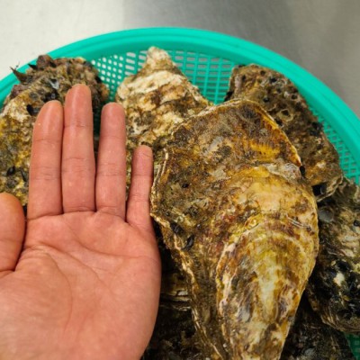 ✨ 놓치면 후회! 하프셀통영석굴 솔직 후기 & 꿀팁 대방출 🐚