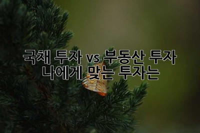 국채 투자 vs 부동산 투자: 나에게 맞는 투자는? 🤔