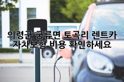 의령군 궁류면 토곡리 렌트카 자차보험 비용 확인하세요!