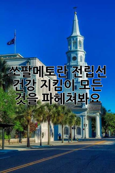 쏘팔메토란? 전립선 건강 지킴이, 모든 것을 파헤쳐봐요!