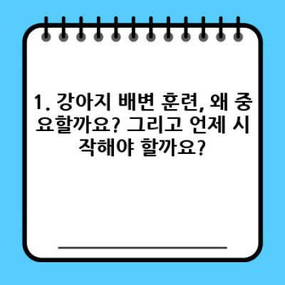 강아지 배변 훈련 완벽 가이드: 성공 전략과 실전 노하우 대공개!