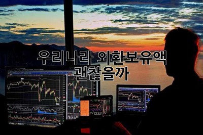 우리나라 외환보유액, 괜찮을까? 🤔