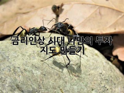 금리인상 시대, 나만의 투자 지도 만들기 ✨