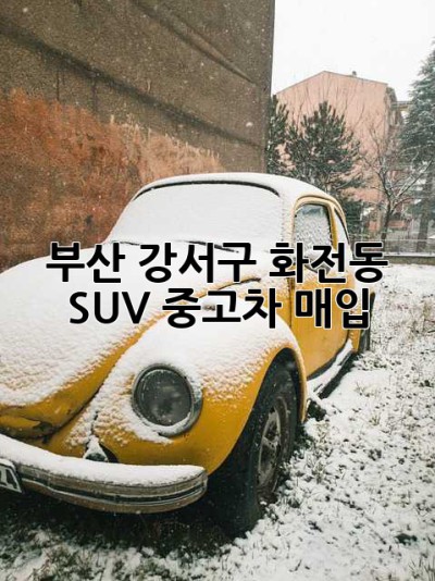 부산 강서구 화전동 SUV 중고차 매입