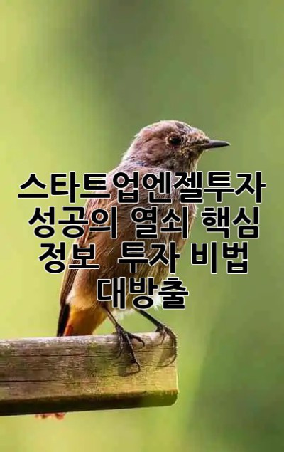스타트업엔젤투자, 성공의 열쇠🔑: 핵심 정보 & 투자 비법 대방출!