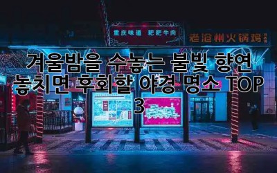 ✨겨울밤을 수놓는 불빛 향연! 놓치면 후회할 야경 명소 TOP 3🌃