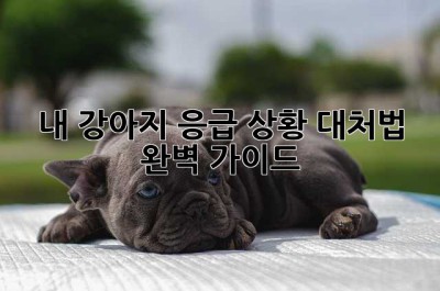 🐶내 강아지, 응급 상황 대처법 완벽 가이드!