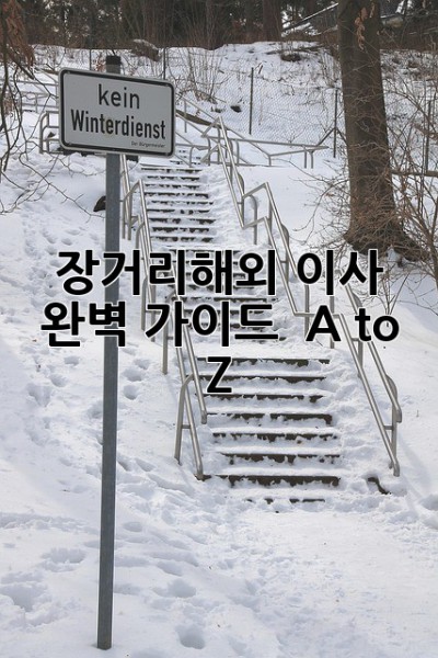 장거리&해외 이사 완벽 가이드 🚚✈️ A to Z
