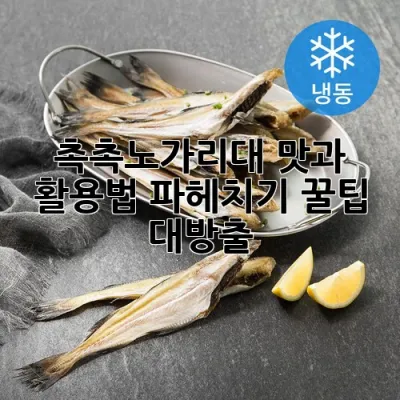 촉촉노가리대, 맛과 활용법 파헤치기! 꿀팁 대방출!