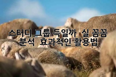 스터디 그룹, 득일까? 🤔 실? 꼼꼼 분석 & 효과적인 활용법 💯