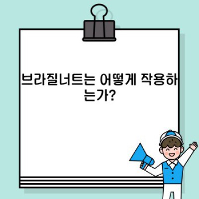 브라질너트의 효능: 슈퍼푸드의 놀라운 비밀