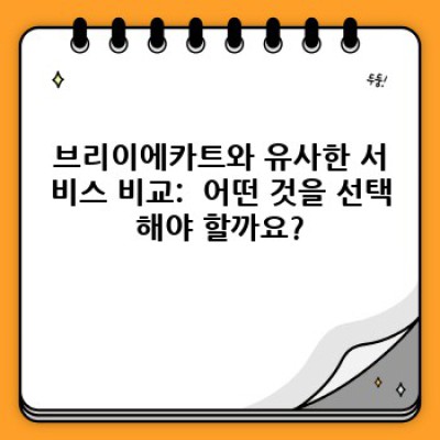 브리이에카트 완벽 가이드: 궁금증 해소와 활용법 총정리