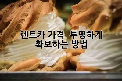 렌트카 가격 🤫? 투명하게 확보하는 방법!